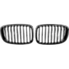 Bmw F07 GT Grill Blanksvart