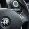 Alfa Romeo ratt emblem 40MM