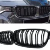 BMW F30 F31 Grill Njurar Blanka Dubbelribbade