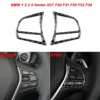 Bmw F-serie Ratt Dekal kolfiber