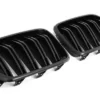 Bmw Grill X2 Blank / Matt 18+