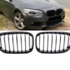 Grill BMW F20 F21 Njurar Fler färger Performance