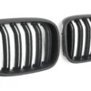 Grill BMW X4 G02 X3 G01 ( Dubbel Ribb ) F97 F98 - Bild 2