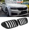 Grill Njurar Bmw G32 GT Gran Turismo (Dubbelribb) - Bild 2