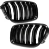 Njurar grill BMW F10 F11 M5-design (Dubbelribb)