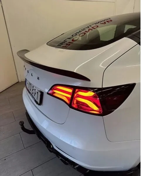 Tesla Model 3 Vinge