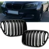 Bmw F07 GT Njurar Grill Dubbelribb Fler färger - Bild 3