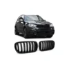 Grill Bmw X6 X5 F15 F16 Blank Matt njurar (Singel ribb) - Bild 5